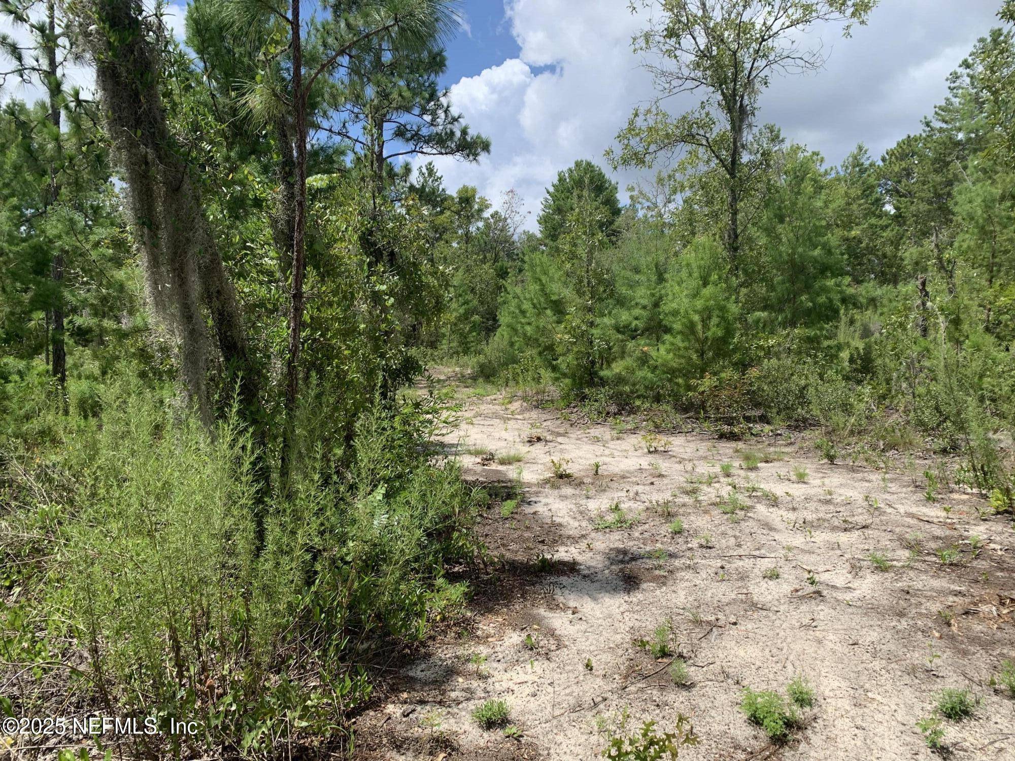 Interlachen, FL 32148,403 LILY TRL
