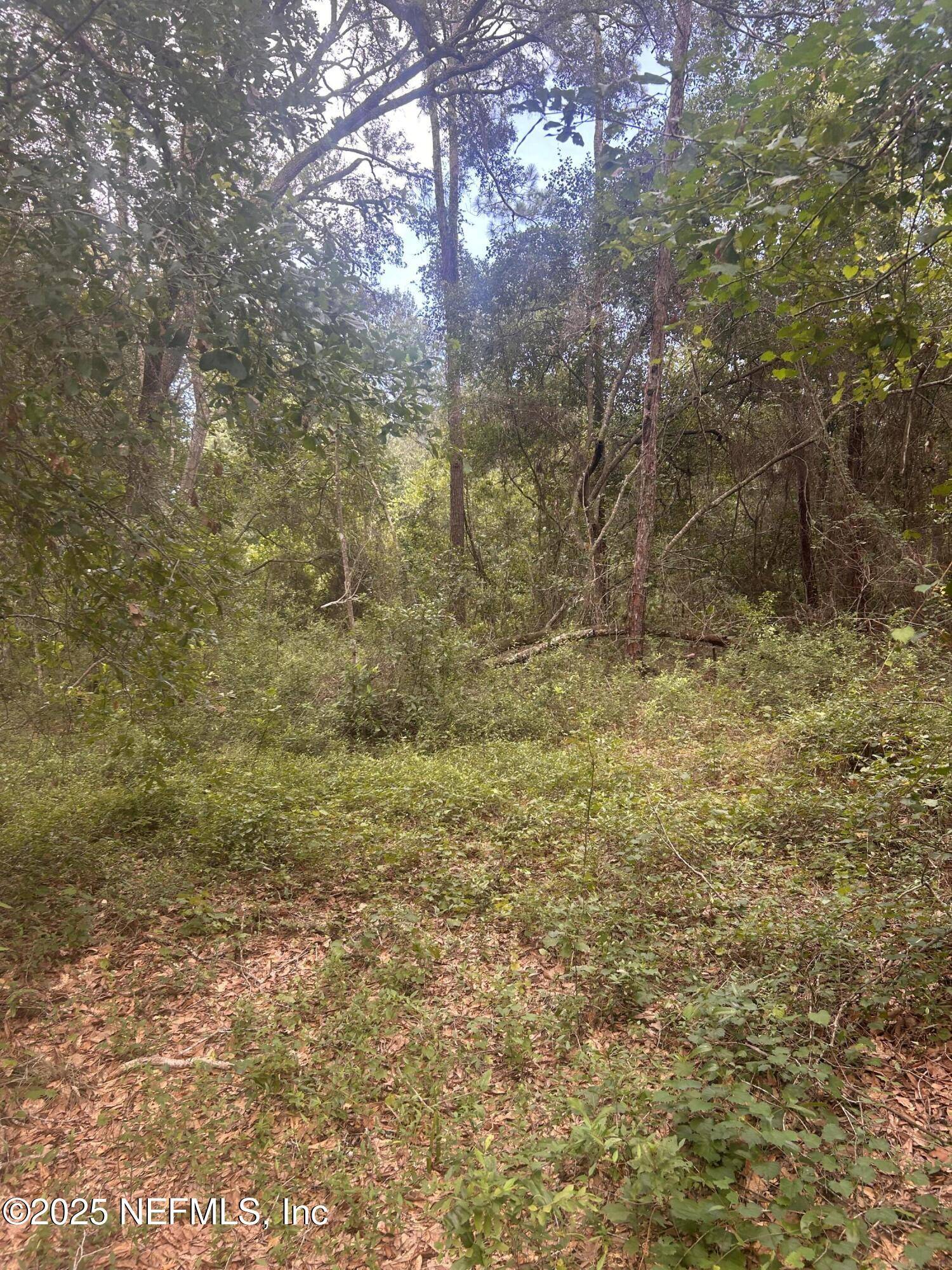 Ocklawaha, FL 32179,0 SE 182ND AVE RD