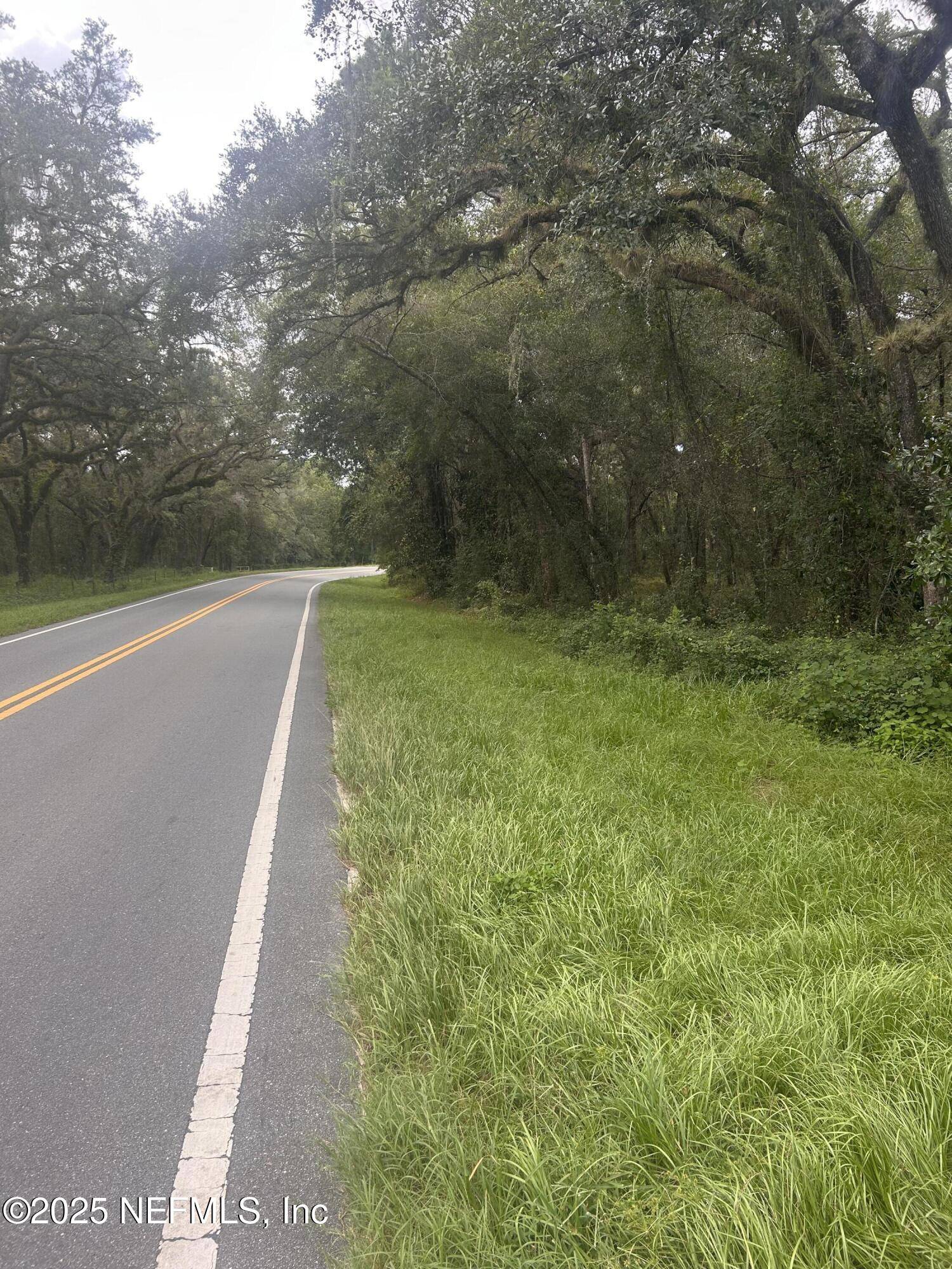 Ocklawaha, FL 32179,0 SE 182ND AVE RD