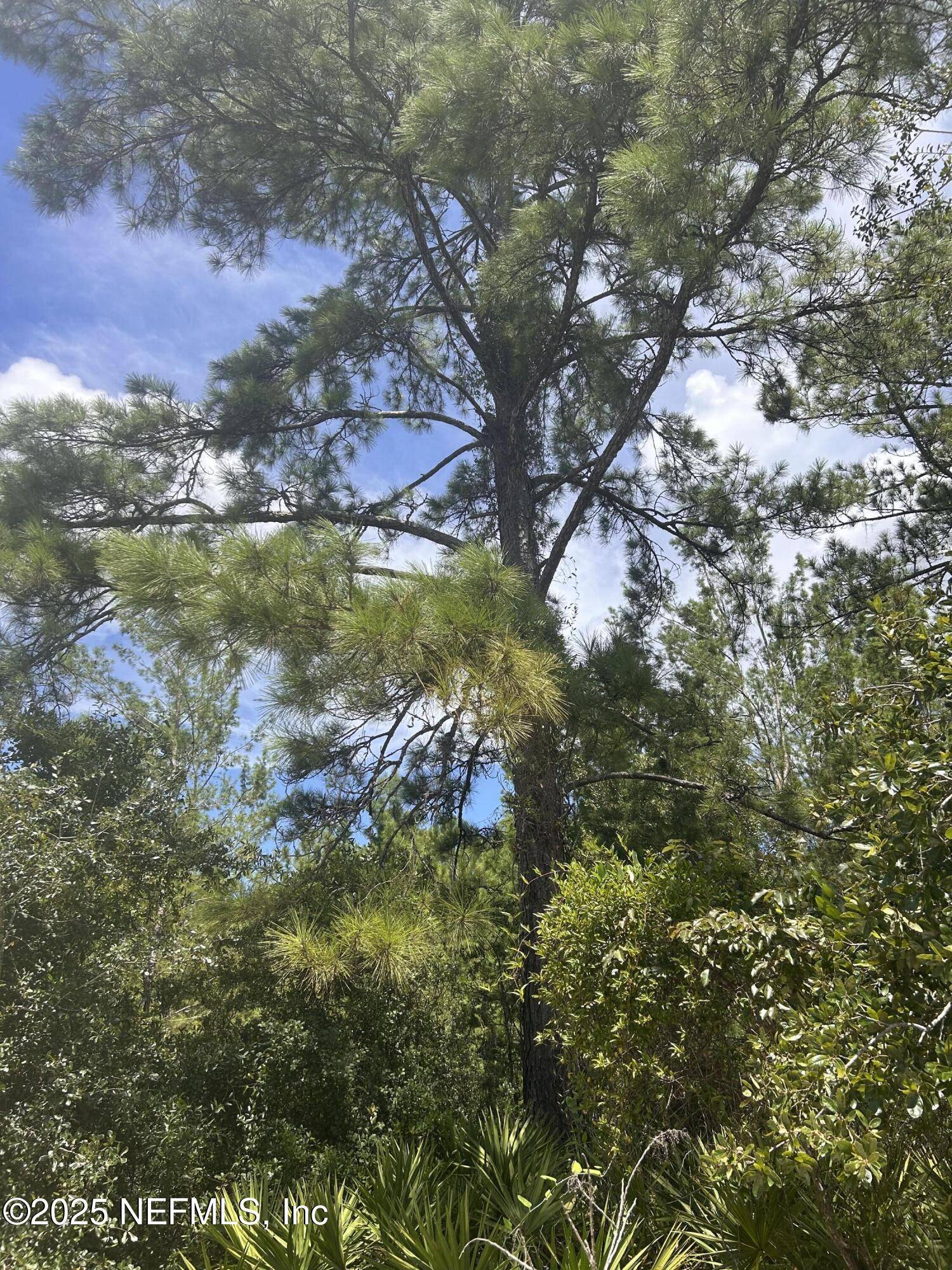 Keystone Heights, FL 32656,6000 VILLANUEVA DR