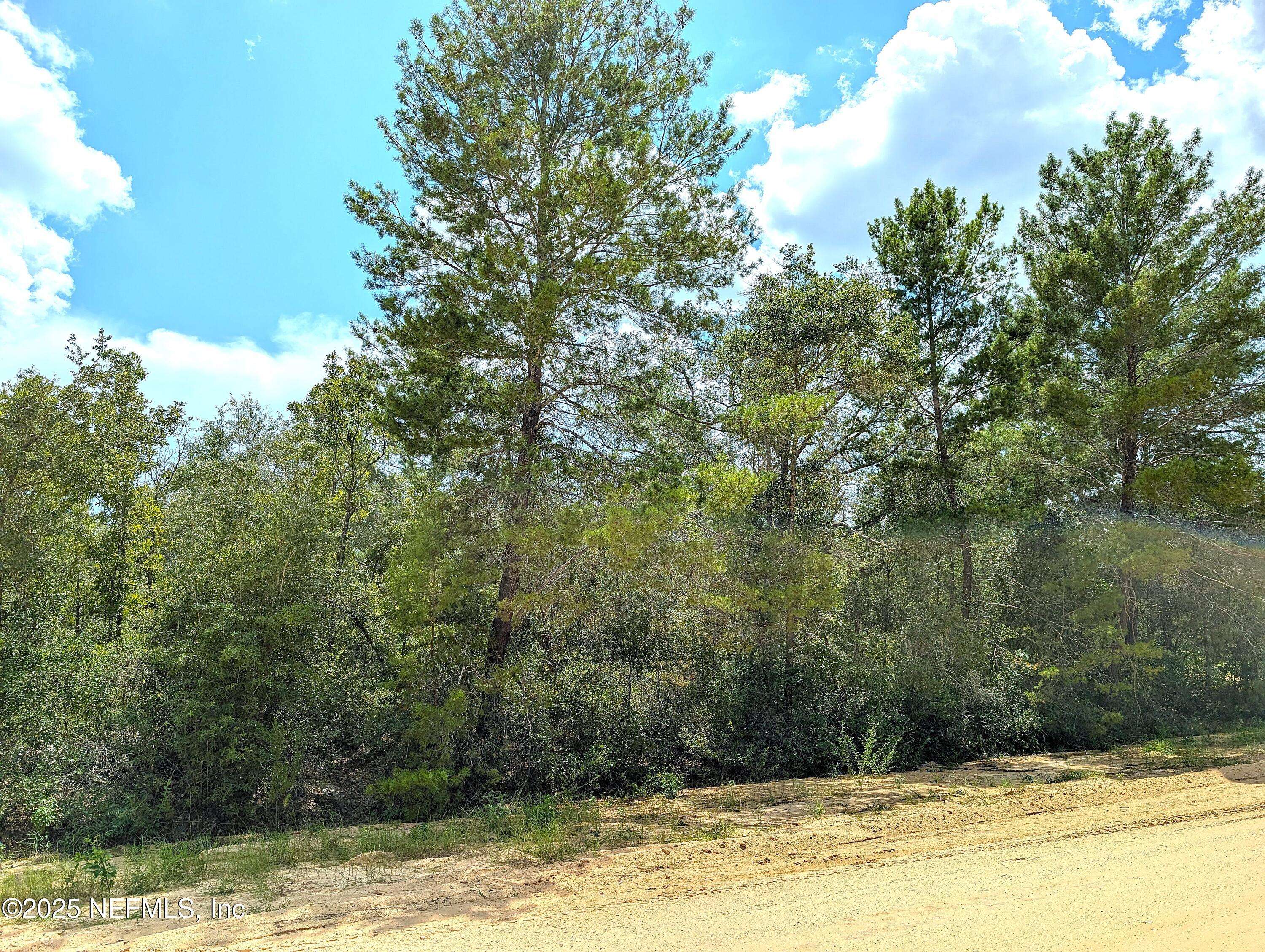 Keystone Heights, FL 32656,5635 CHEROKEE ST