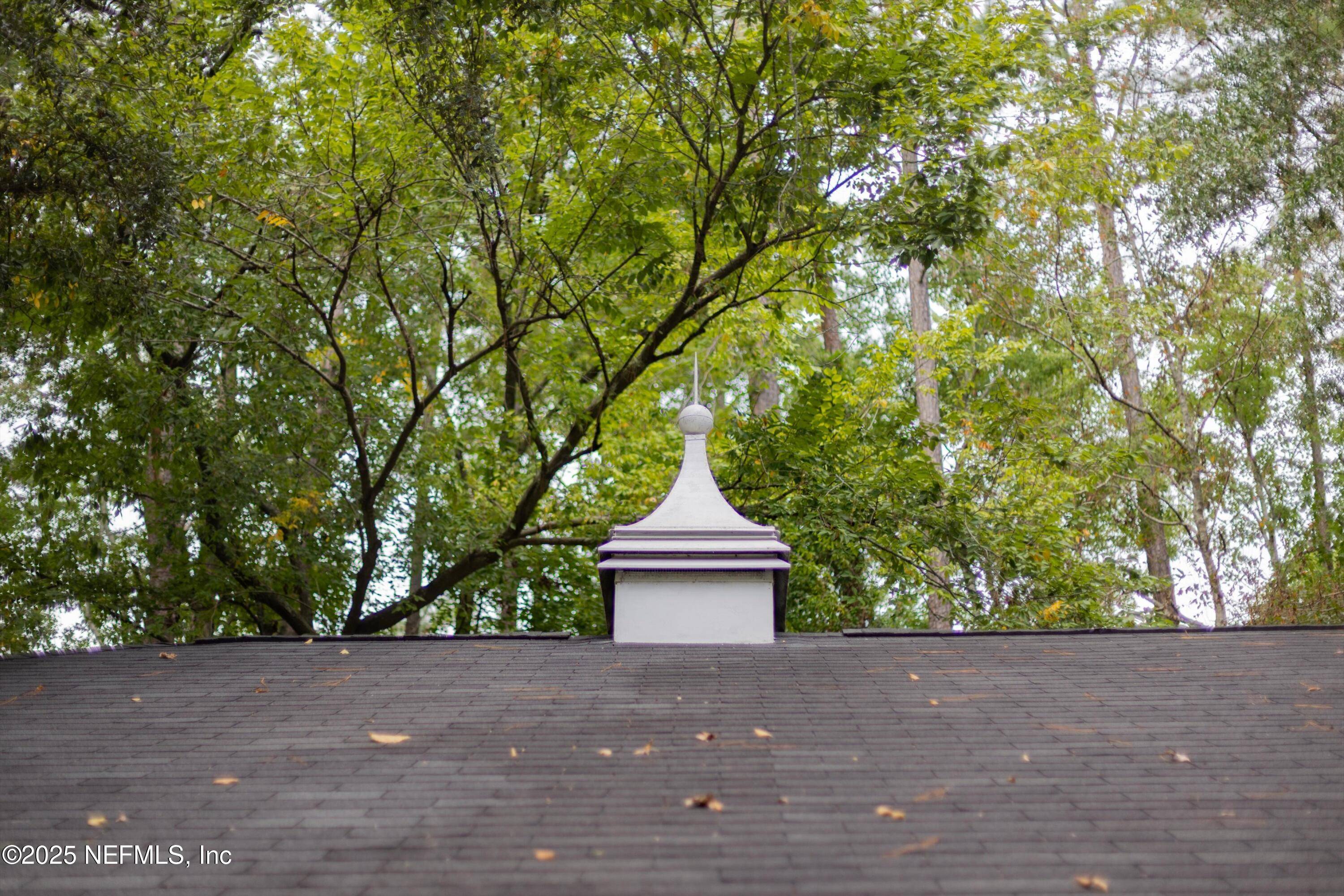 Orange Park, FL 32073,545 ASH ST