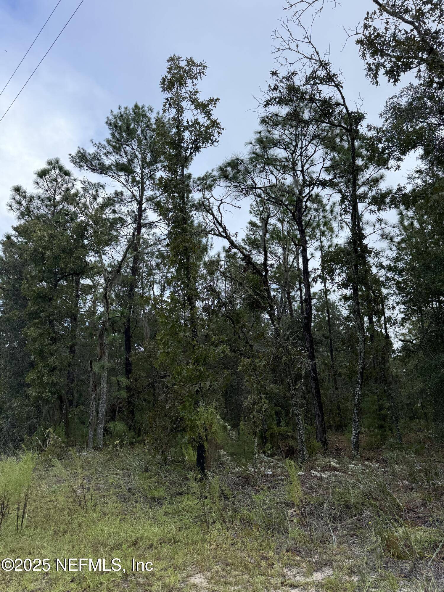 Keystone Heights, FL 32656,5830 CAMPO DR