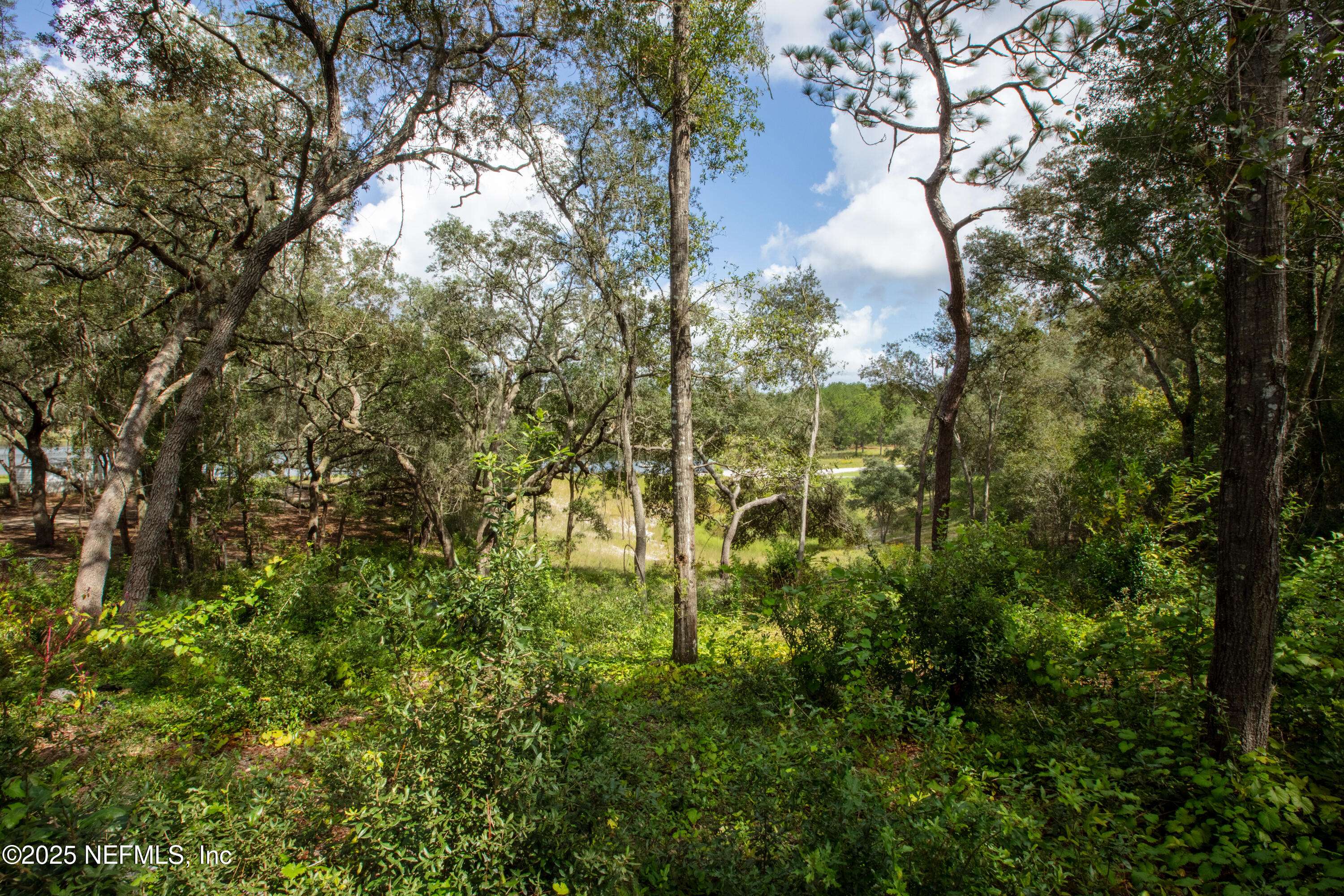 Keystone Heights, FL 32656,6956 DEER SPRINGS RD