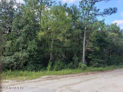 Interlachen, FL 32148,341 COUNTY ROAD 315