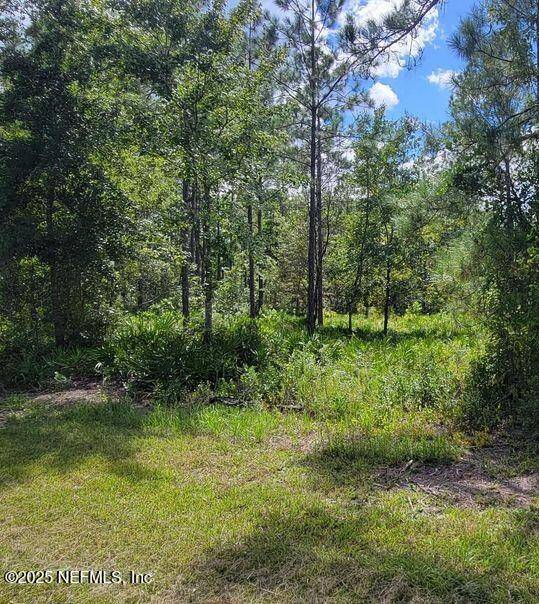 Keystone Heights, FL 32656,4329 BONDARENKO RD