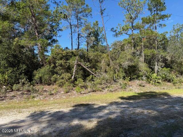 Georgetown, FL 32139,113 OCALA DR