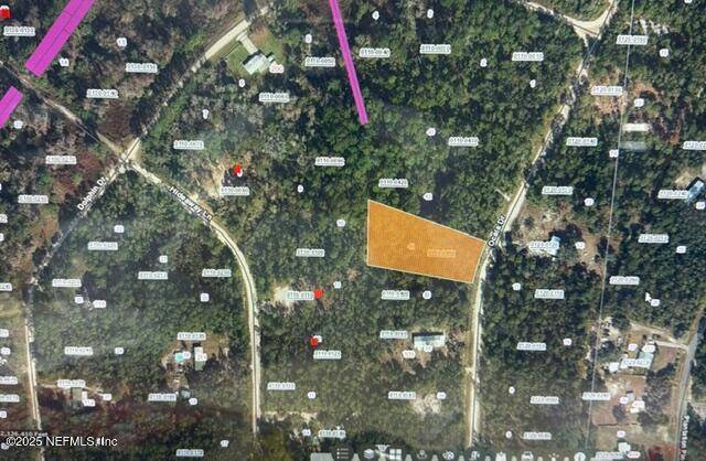 Georgetown, FL 32139,113 OCALA DR