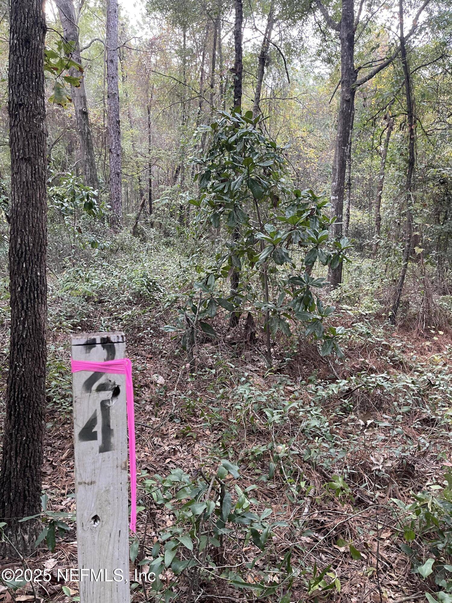 Keystone Heights, FL 32656,0 SE 51ST LOT 24 ST