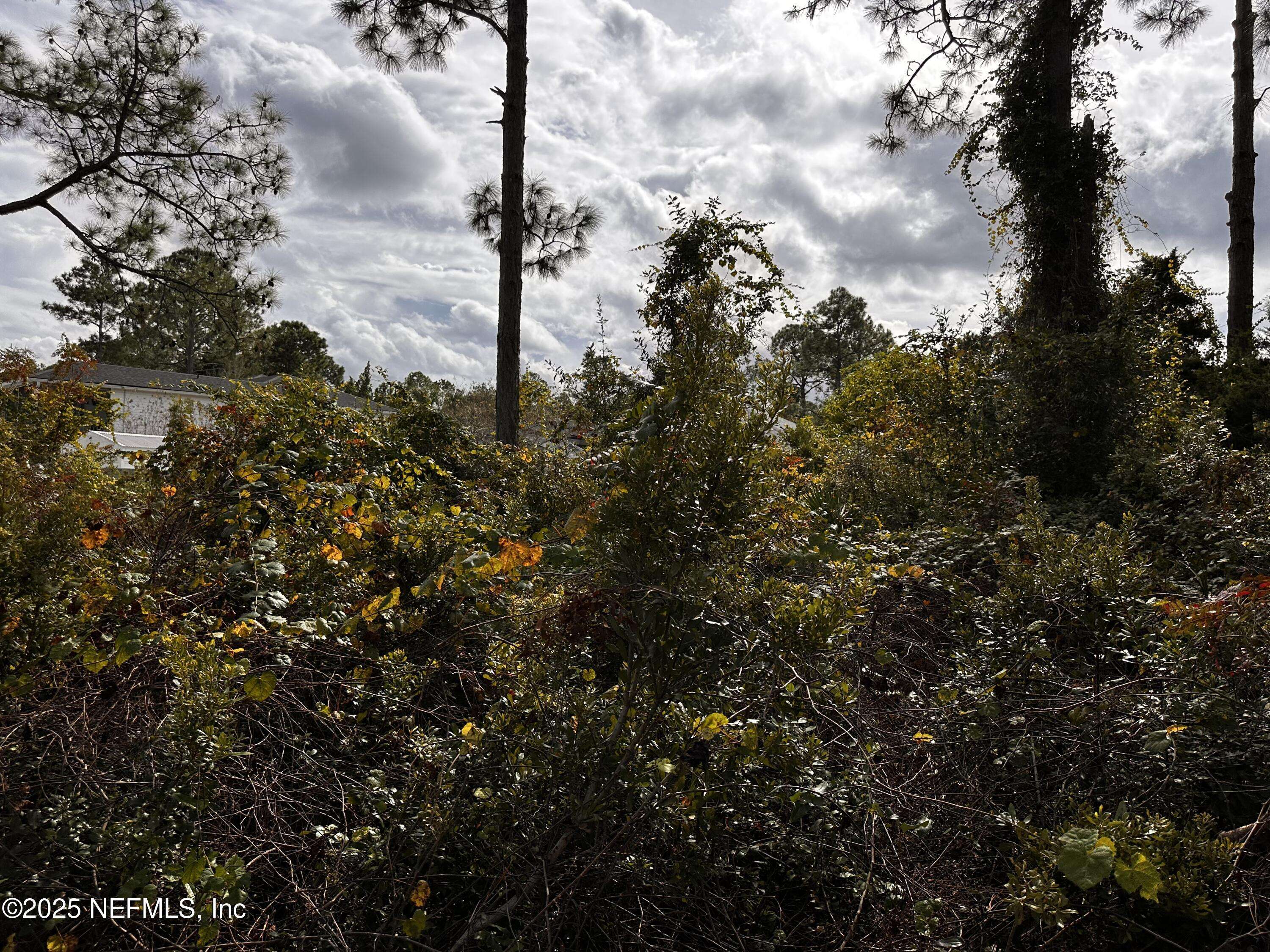 Palm Coast, FL 32164,88 PRINCESS RUTH LN