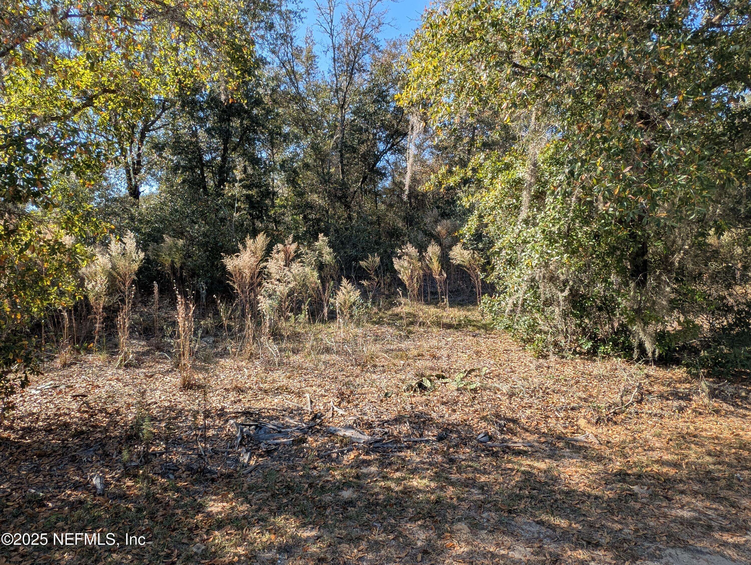 Interlachen, FL 32148,0070-0330 CALIFORNIA AVE