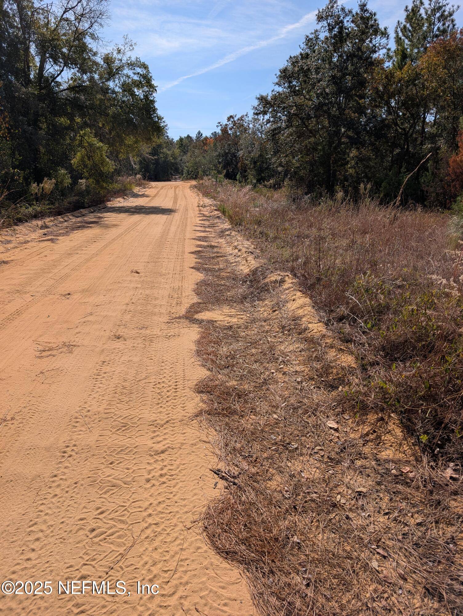 Interlachen, FL 32148,0570-0020 VIOLET AVE