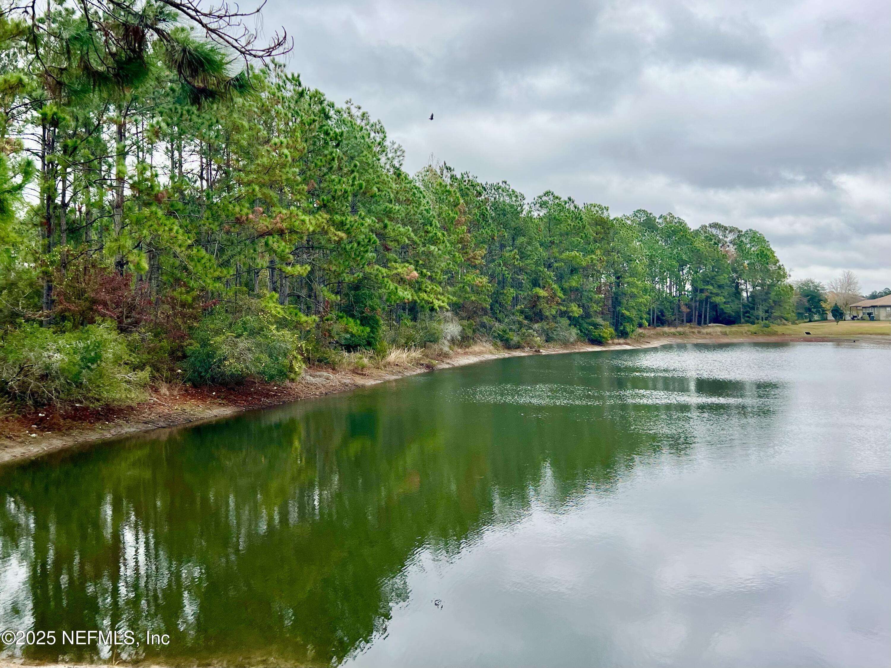 Jacksonville, FL 32221,11823 CARSON LAKE DR W