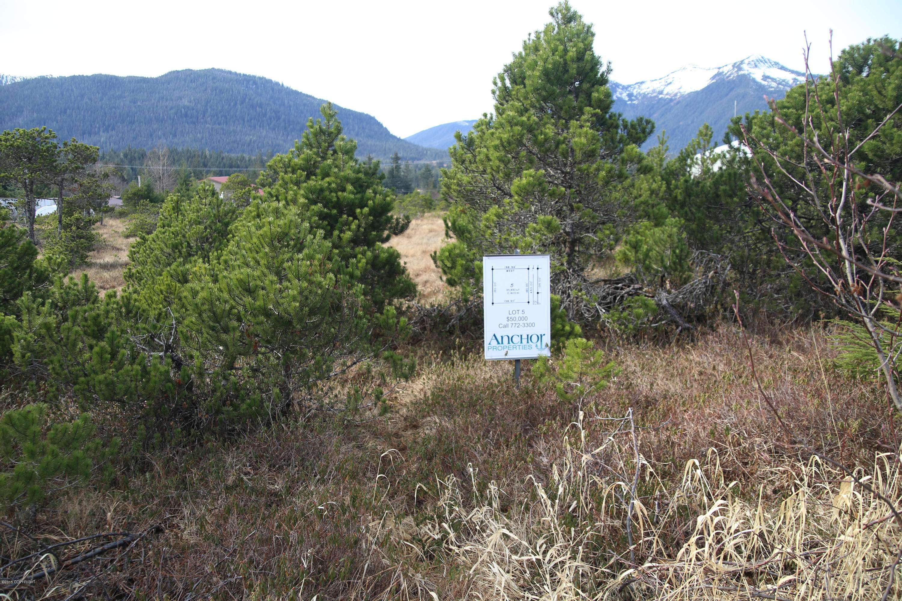 Petersburg, AK 99833,111 Arness Heights DR