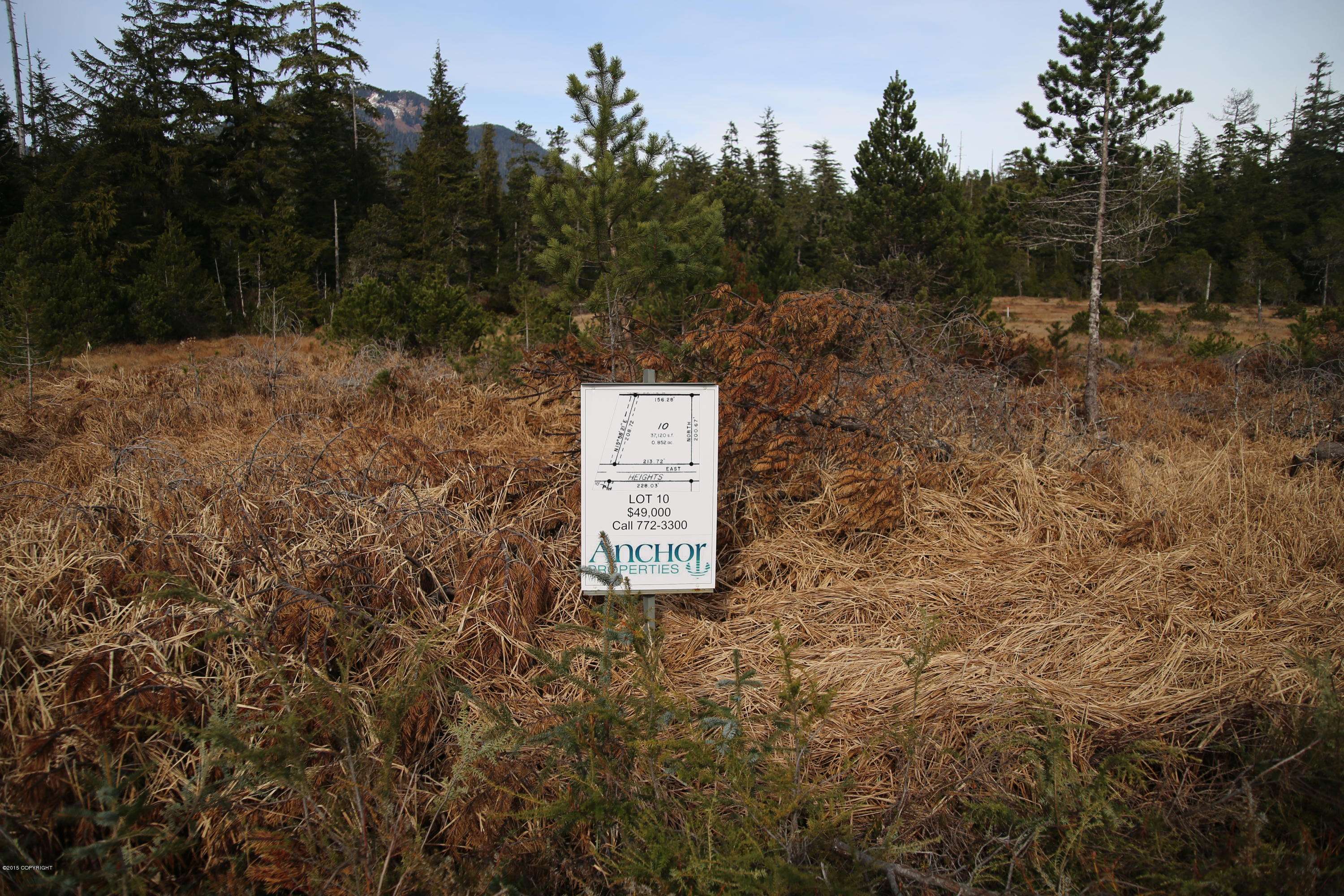 Petersburg, AK 99833,125 Arness Heights DR