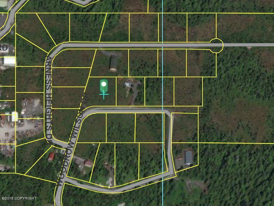 Petersburg, AK 99833,Lot 22 Olsen Subdivision DR