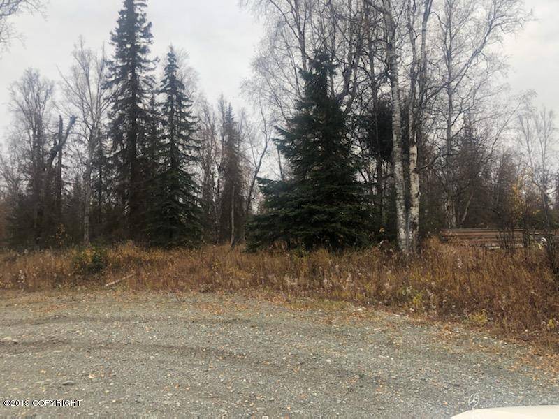 Wasilla, AK 99623,Tr A N Singing Woods