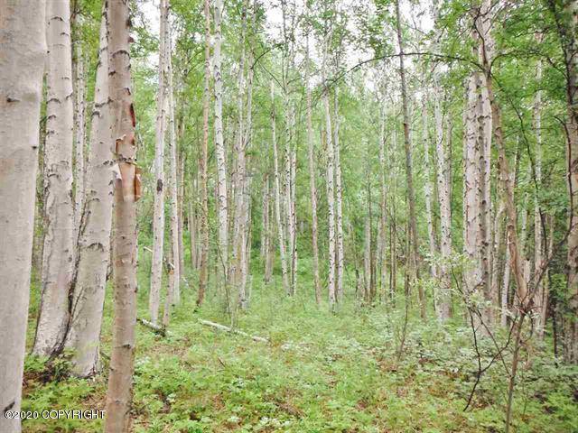 Fairbanks, AK 99712,339 Snowy Owl LN