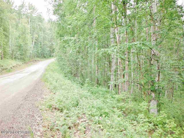 Fairbanks, AK 99712,339 Snowy Owl LN