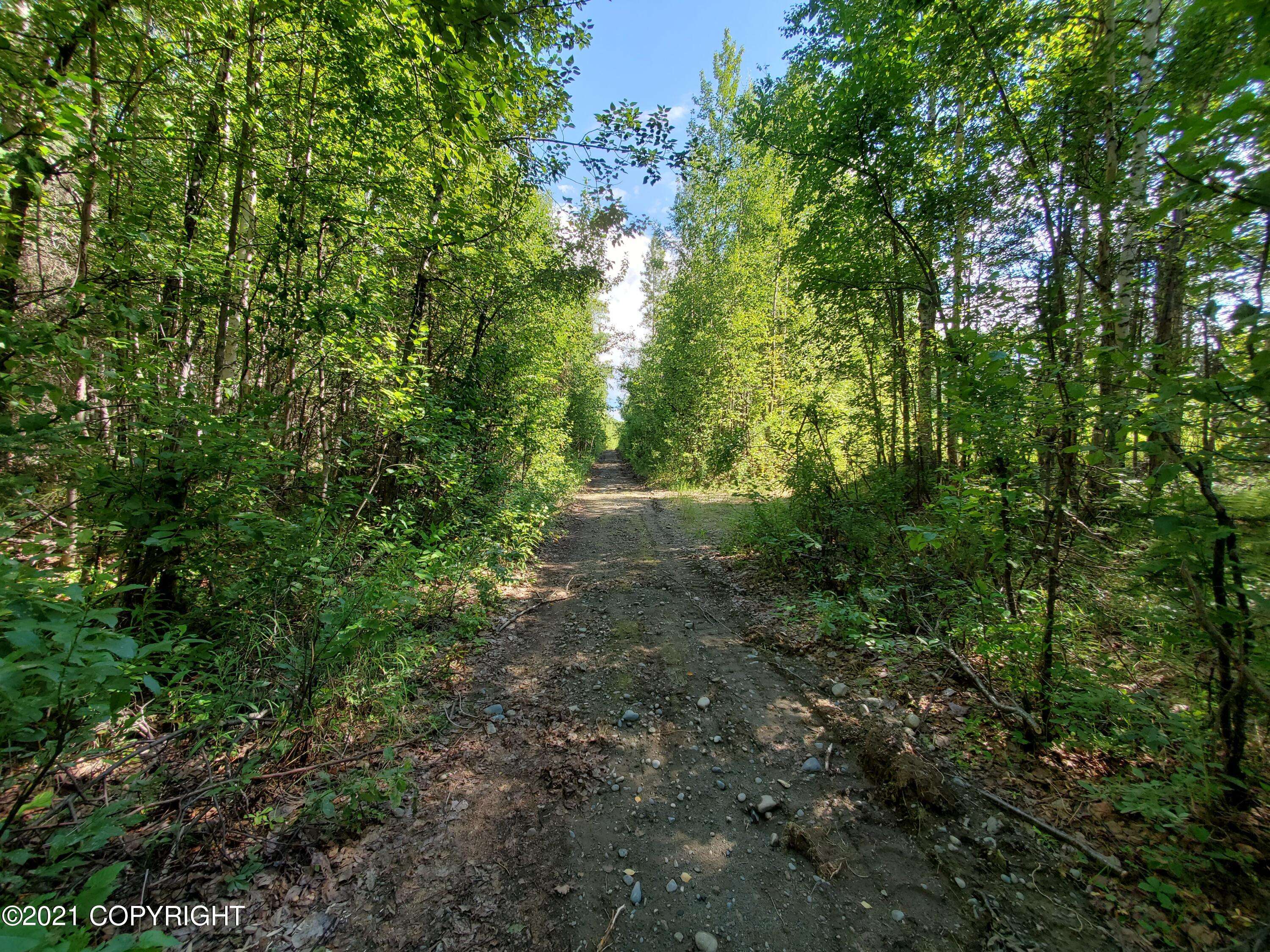 Talkeetna, AK 99676,000 E Big Timber CIR