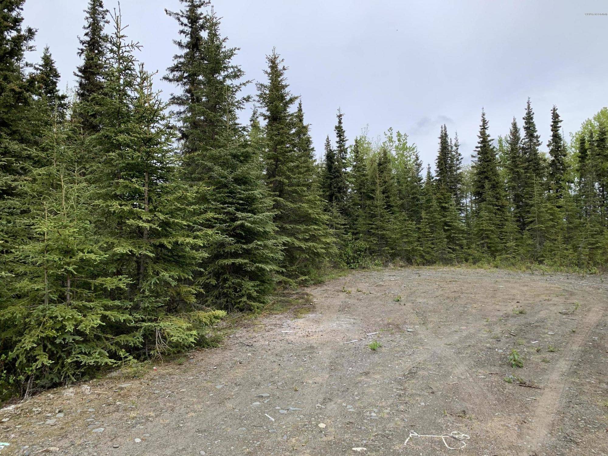 Kasilof, AK 99610,L12 Terpsichore CT