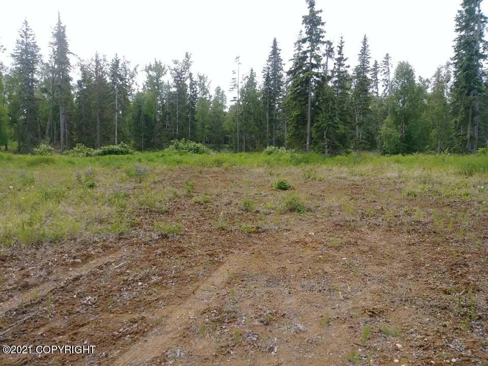 Nikiski/north Kenai, AK 99611,L11 B6 Mark BLVD