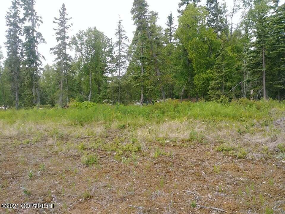 Nikiski/north Kenai, AK 99611,L11 B6 Mark BLVD