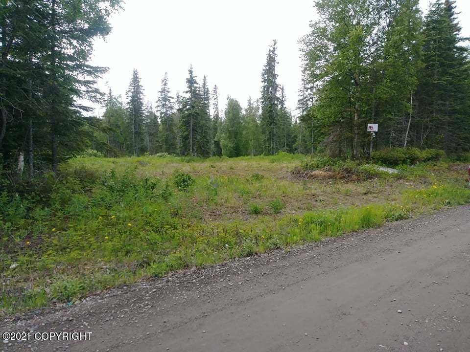 Nikiski/north Kenai, AK 99611,L11 B6 Mark BLVD