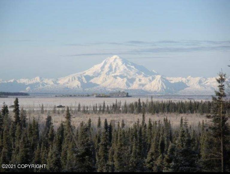 Kenai, AK 99611,1312 Barabara DR