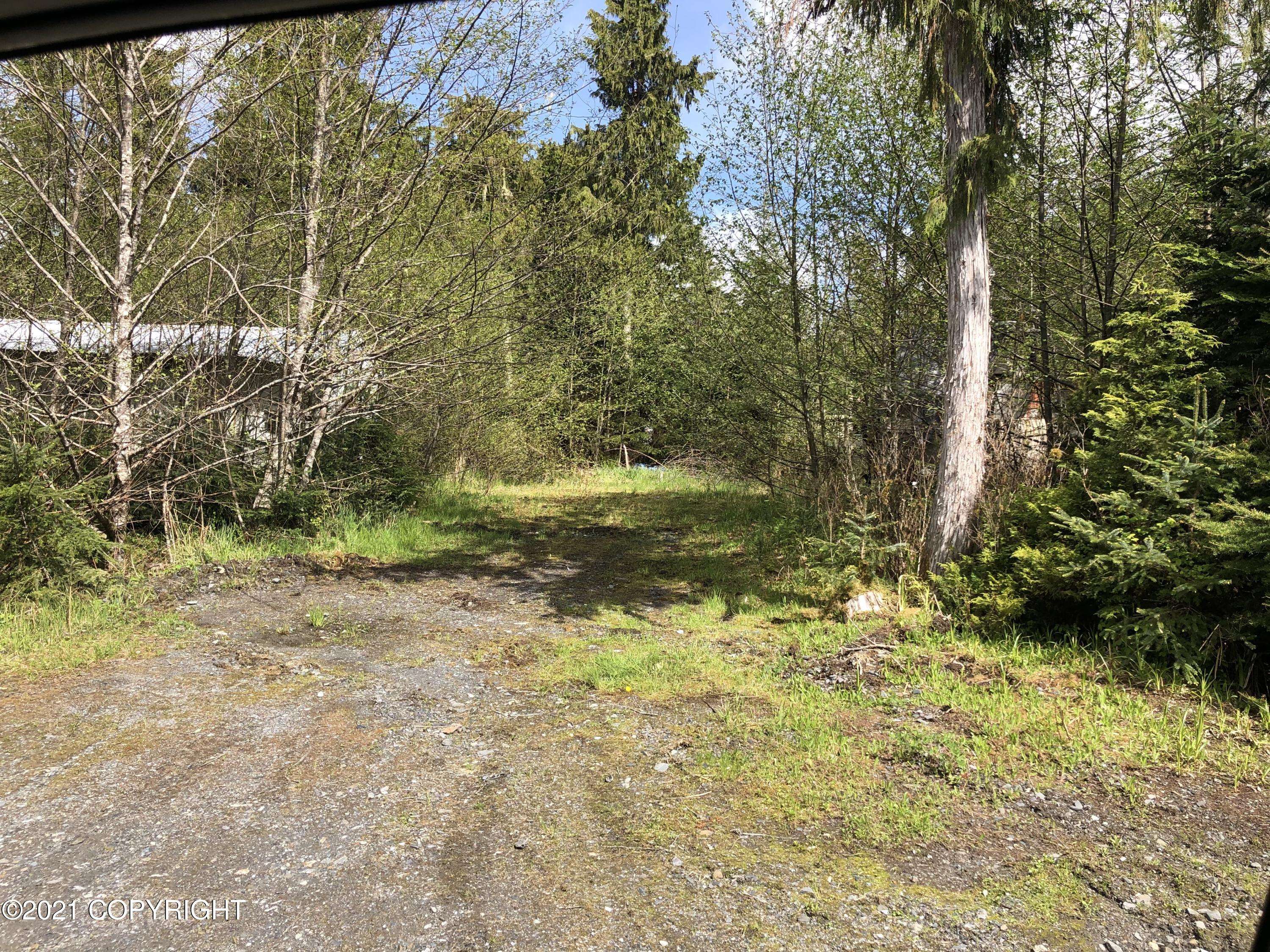 Petersburg, AK 99833,Lot 25AF Mitkof HWY