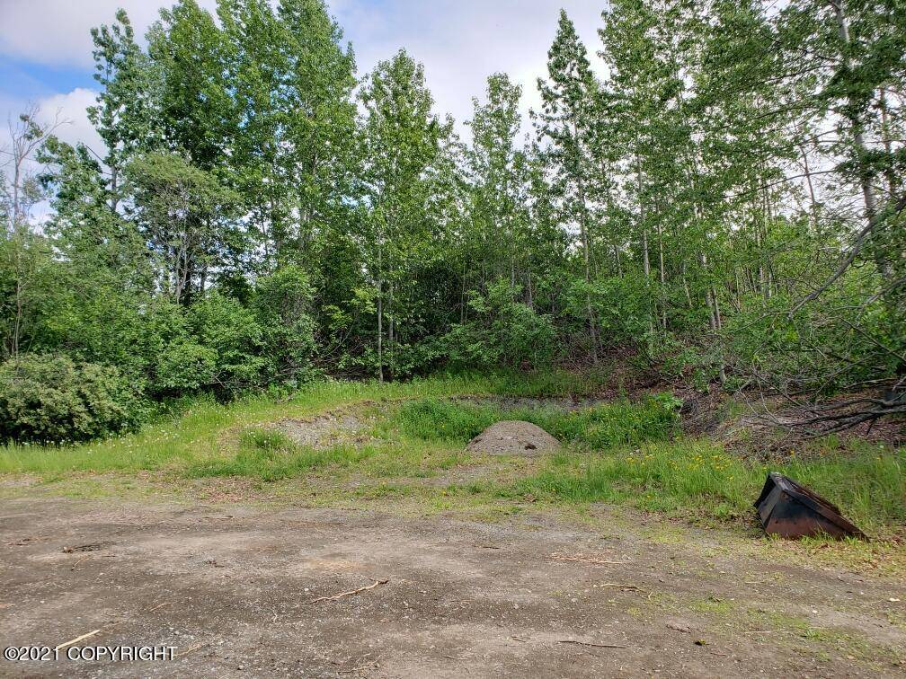 Anchorage, AK 99516,L4 Huffman RD