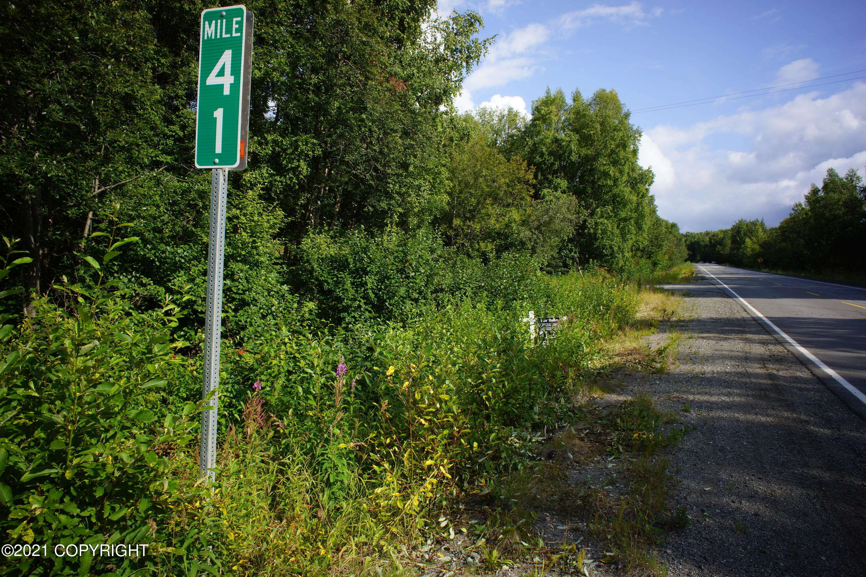 Willow, AK 99688,B008 W Willow Fishhook