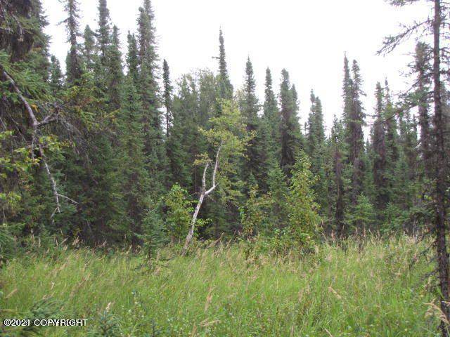 Willow, AK 99688,Lot A003 No Road