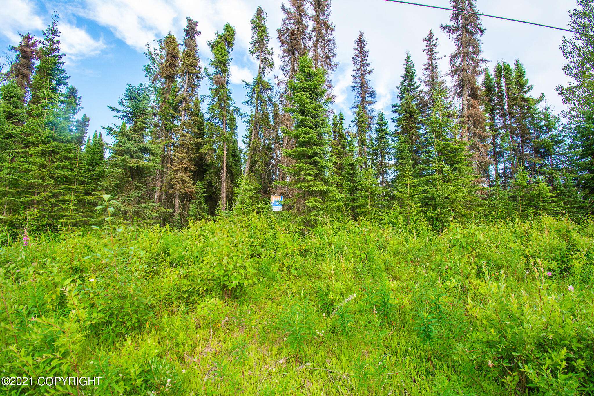 Kenai, AK 99611,4406 N Dogwood RD