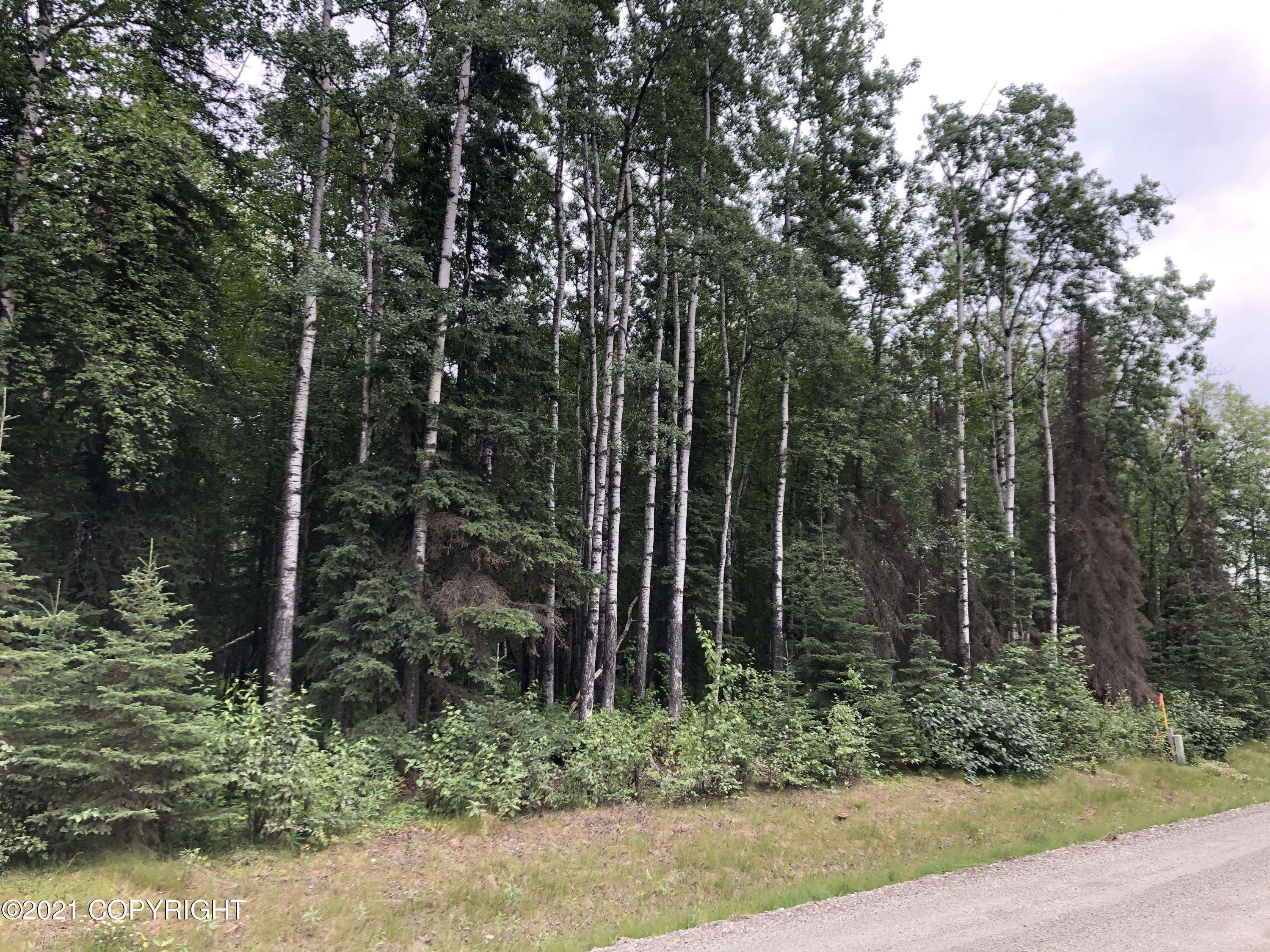 Wasilla, AK 99654,5551 N Wildwood DR