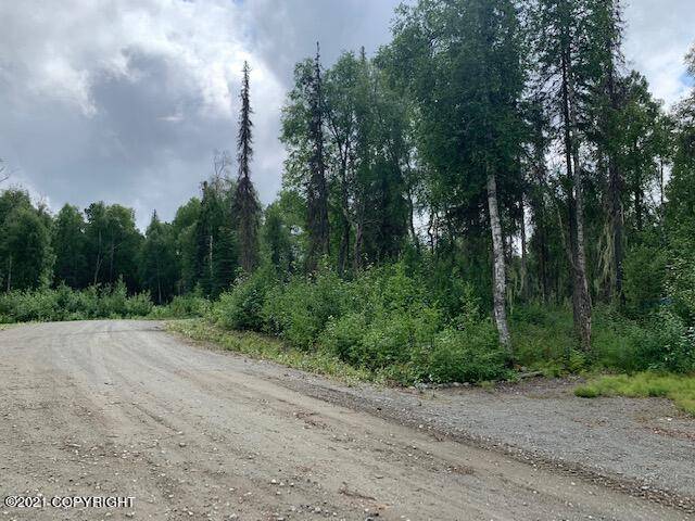 Talkeetna, AK 99676,16400 E Thoreau Drive