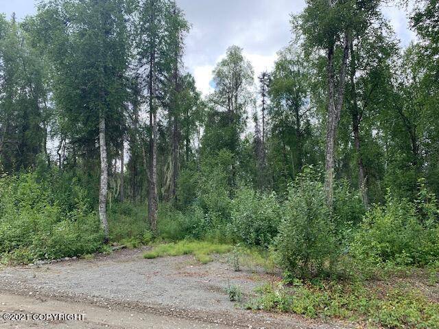 Talkeetna, AK 99676,22440 S Jack London Way