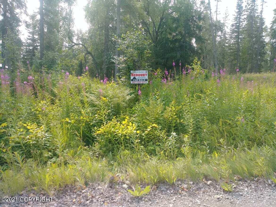 Nikiski/north Kenai, AK 99635,L4 B7 Mark BLVD