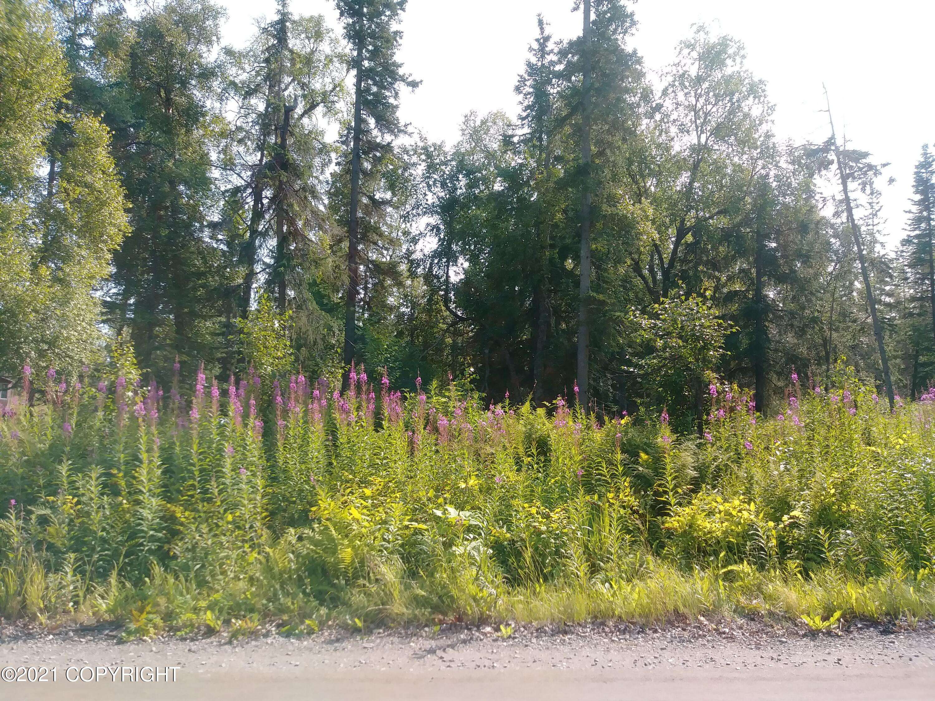 Nikiski/north Kenai, AK 99635,L4 B7 Mark BLVD