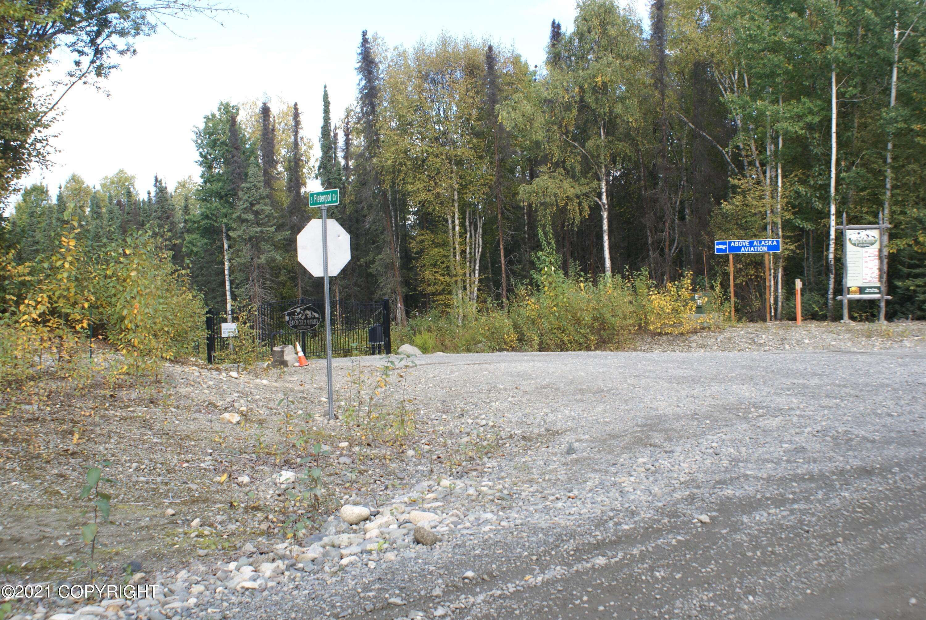 Talkeetna, AK 99676,29696 S Pietenpol CIR