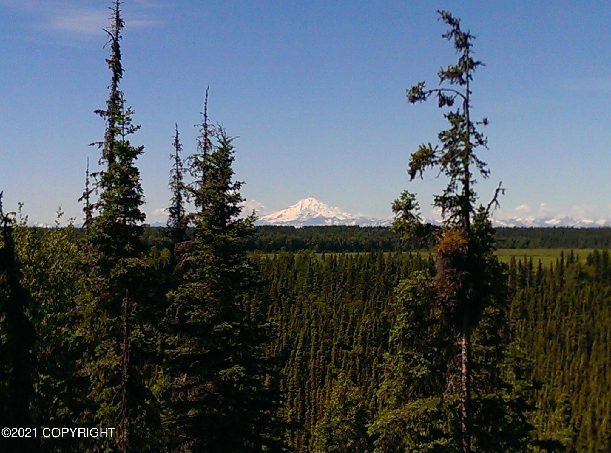 Kasilof, AK 99610,25105 Arctic Fox RD