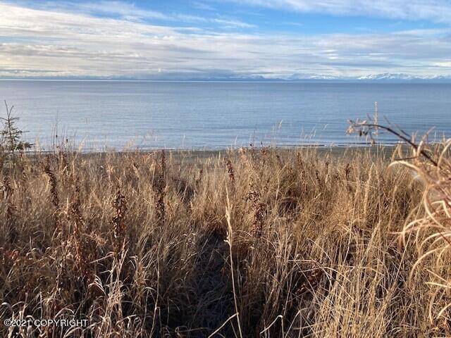 Kenai, AK 99611,36175 Kalifornsky Beach RD