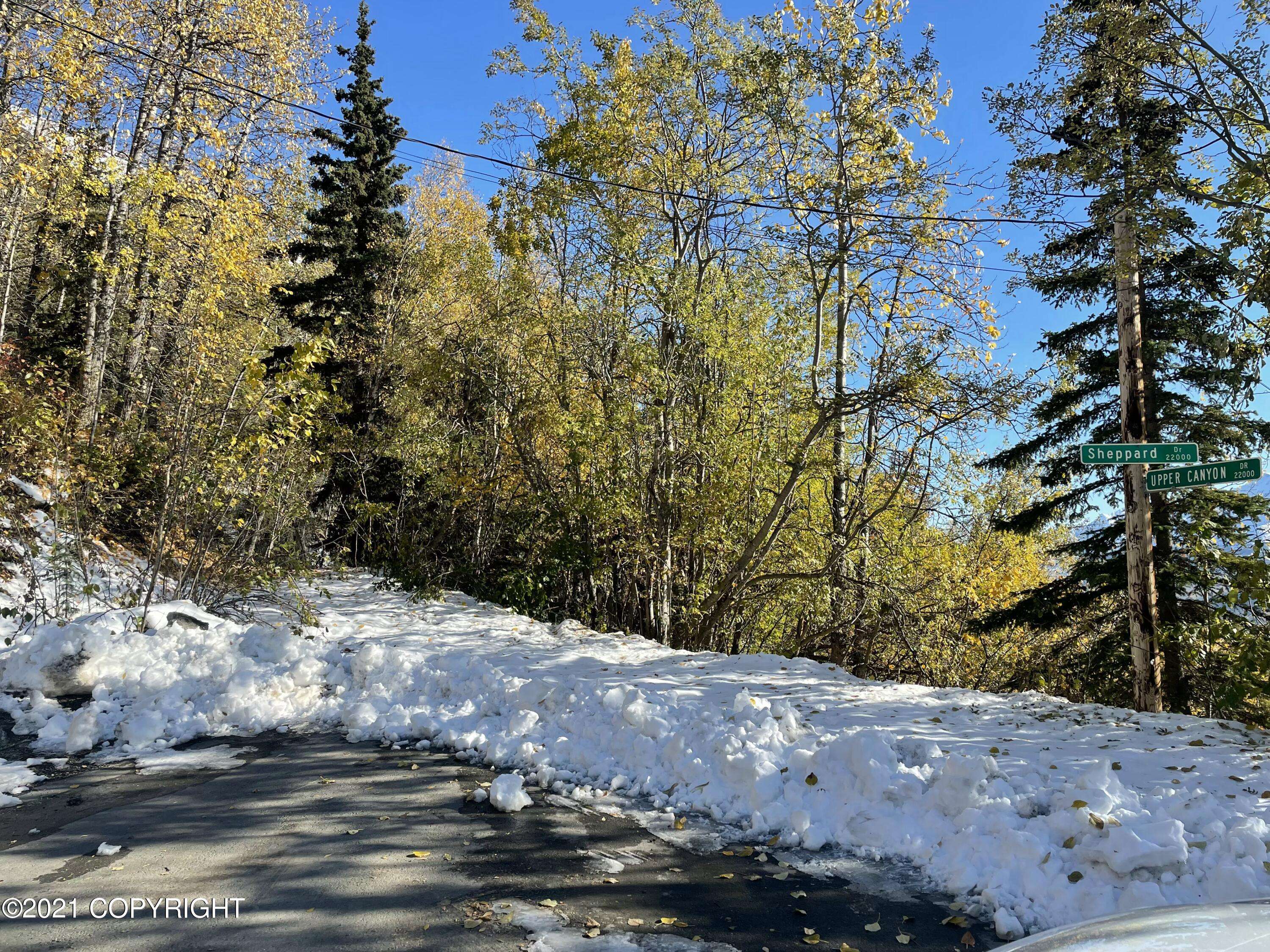 Eagle River, AK 99577,L8 & L9 B7 Sheppard DR