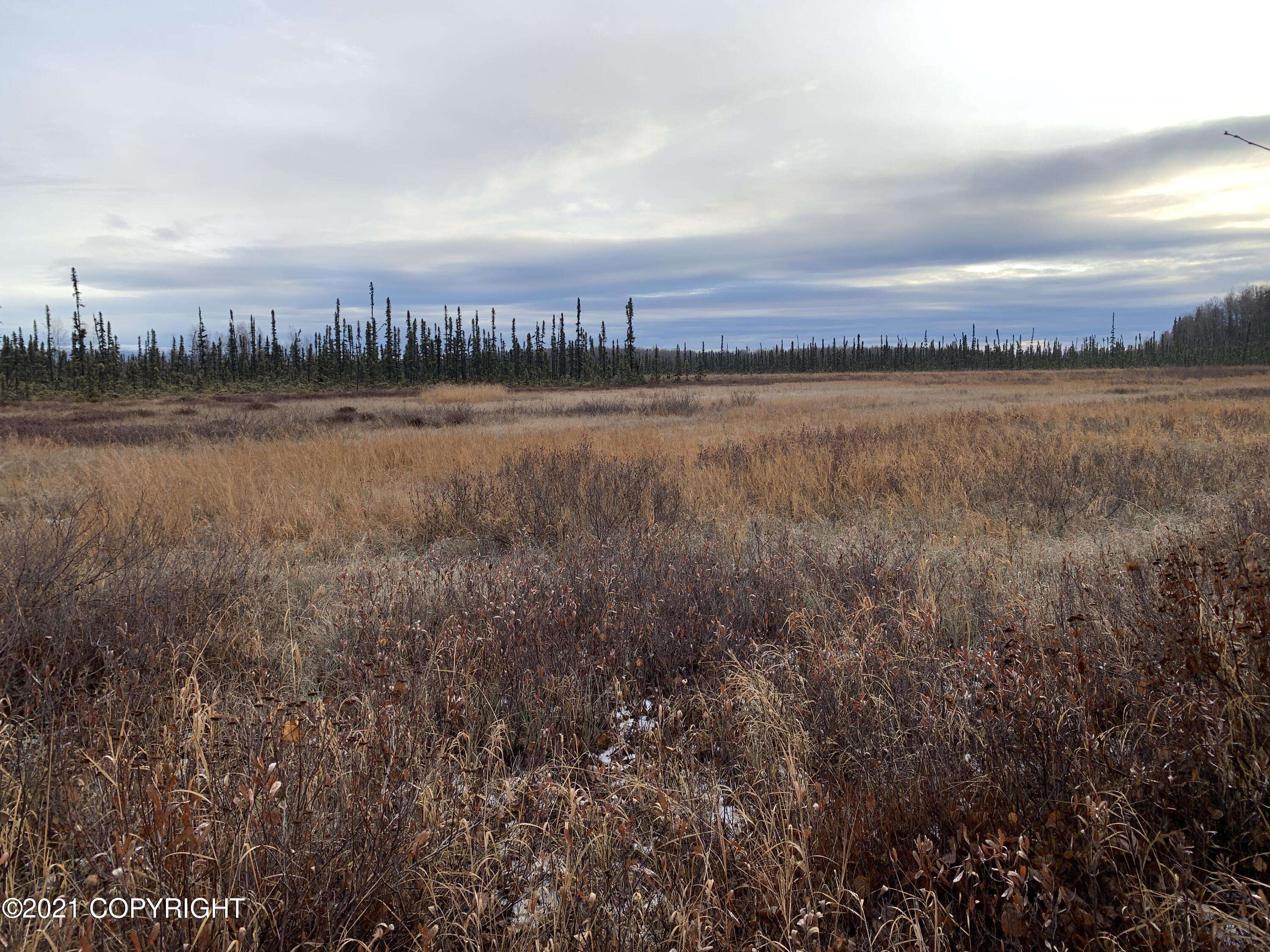 Talkeetna, AK 99676,41639 S Haida CIR