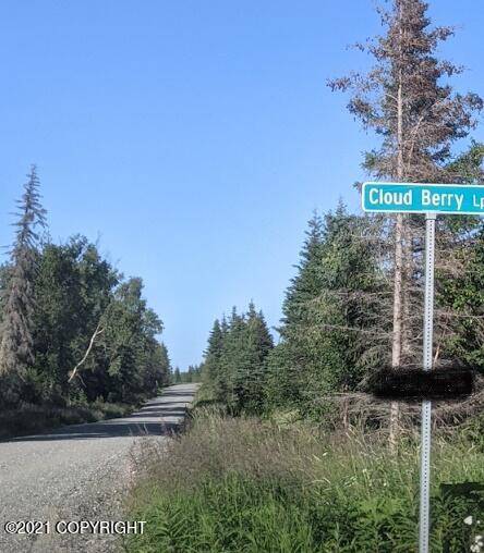 Nikiski/north Kenai, AK 99635,38982 Cloud Berrry LOOP