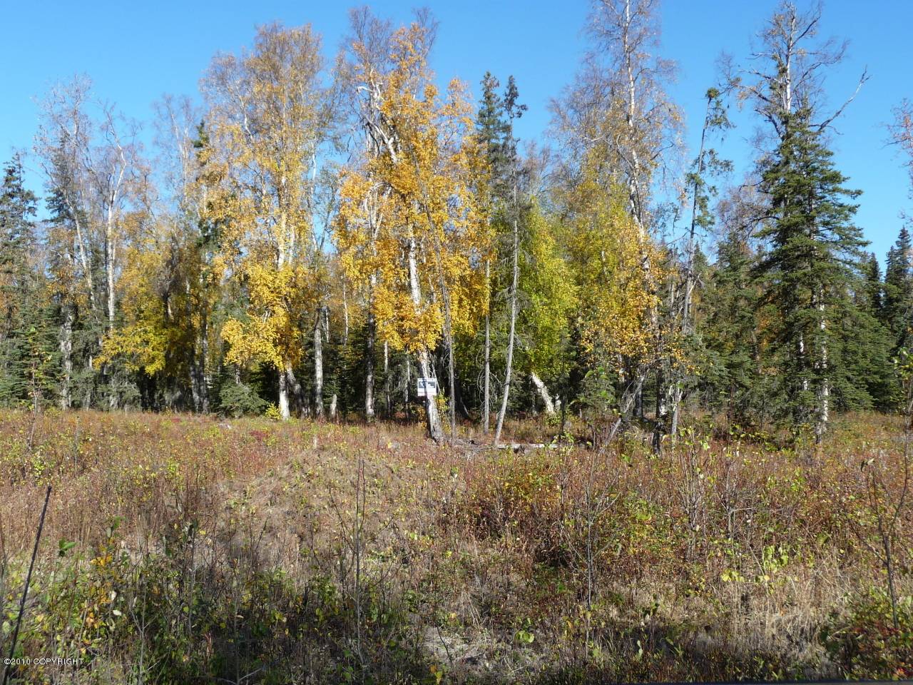 Nikiski/north Kenai, AK 99635,L5 B7 Newberry