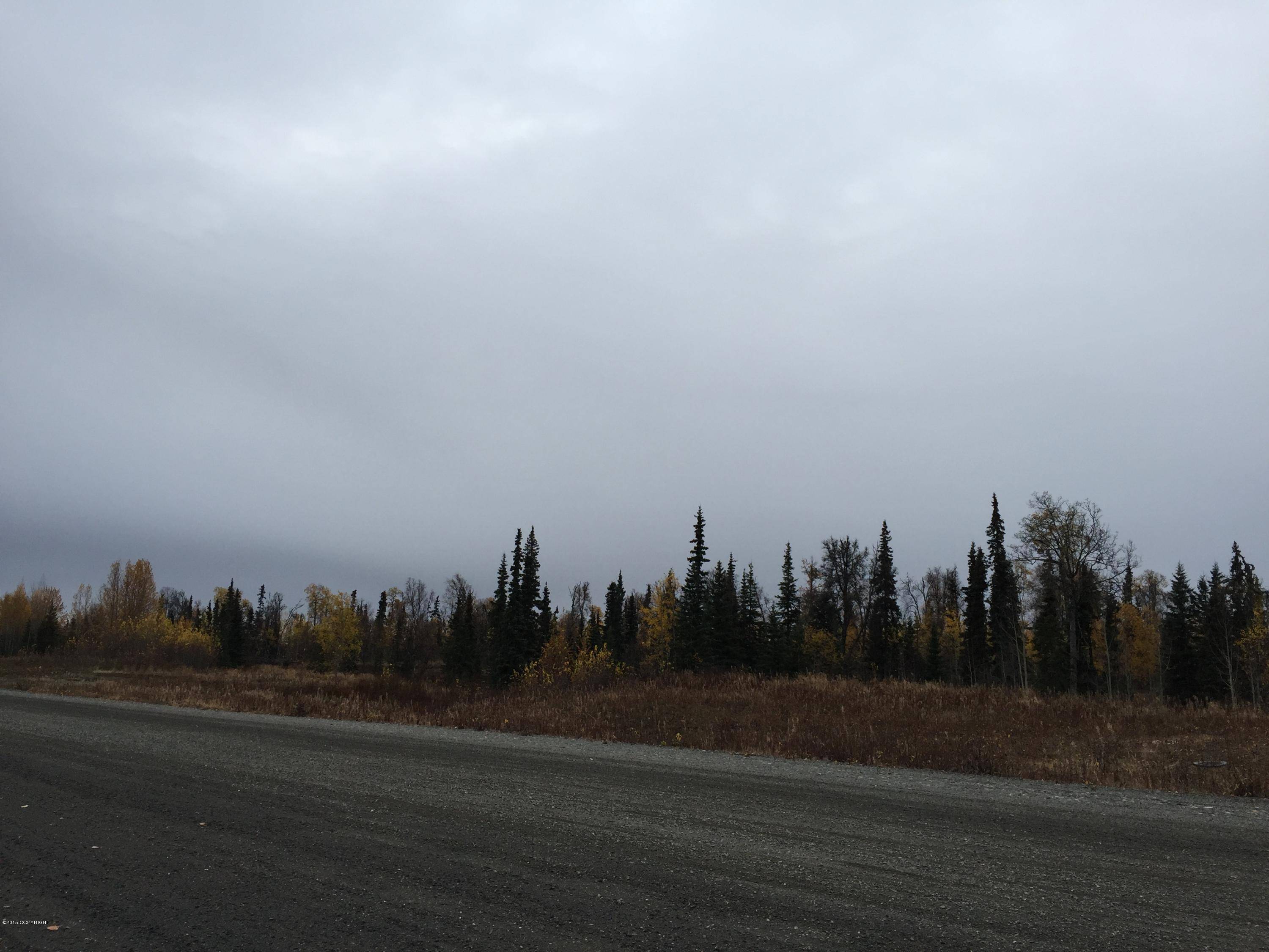 Ninilchik, AK 99639,63760 Tailwind RD