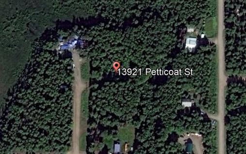 Willow, AK 99688,13921 Petticoat ST