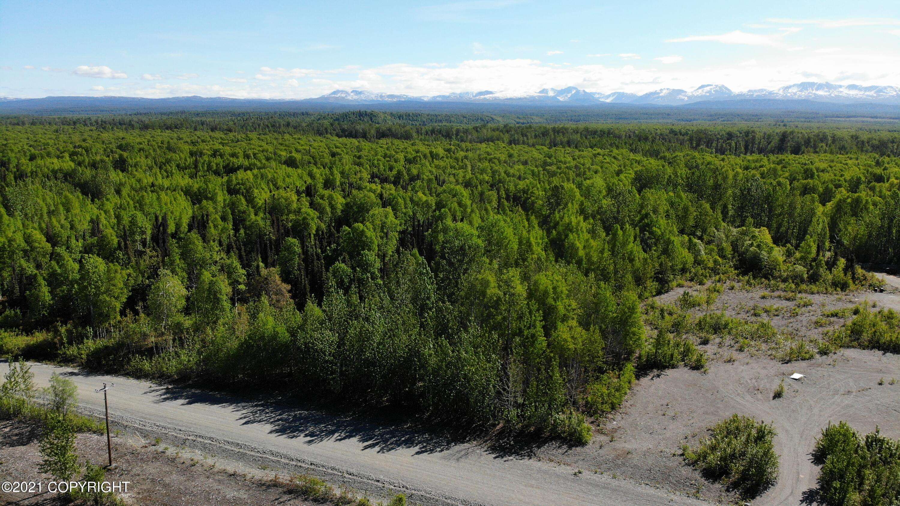 Talkeetna, AK 99676,16963 E Odin AVE