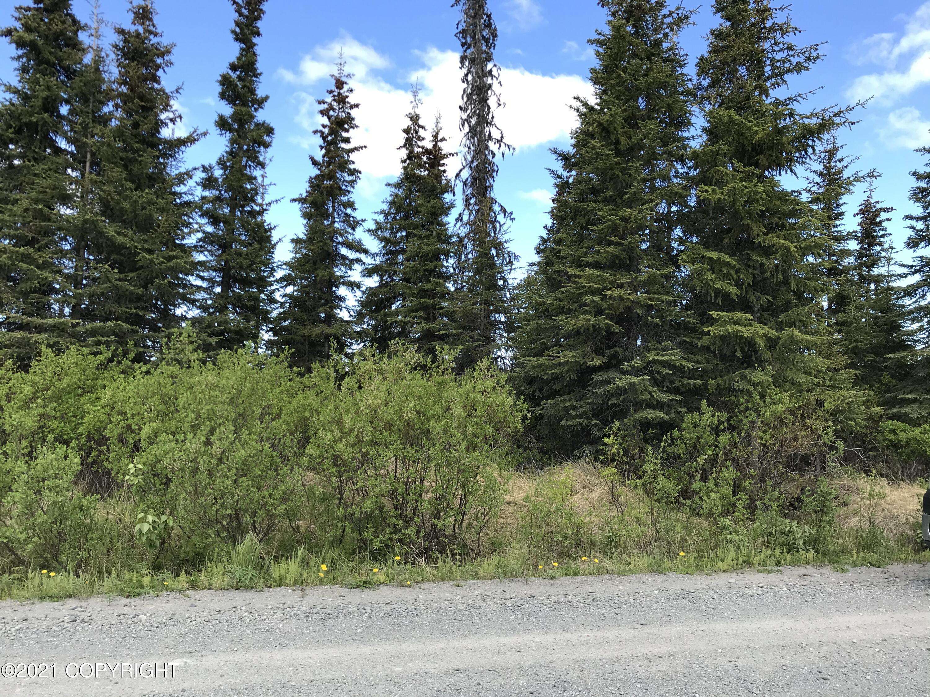 Ninilchik, AK 99639,53496 Oil Well RD